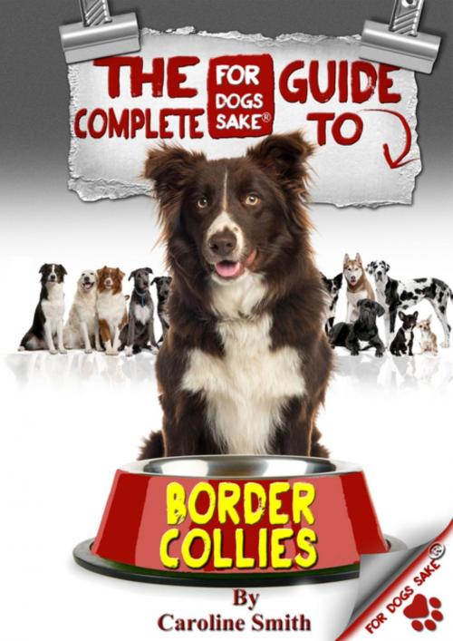 Cover of the book The Complete Guide to Border Collies by Caroline Smith, For Dogs Sake®