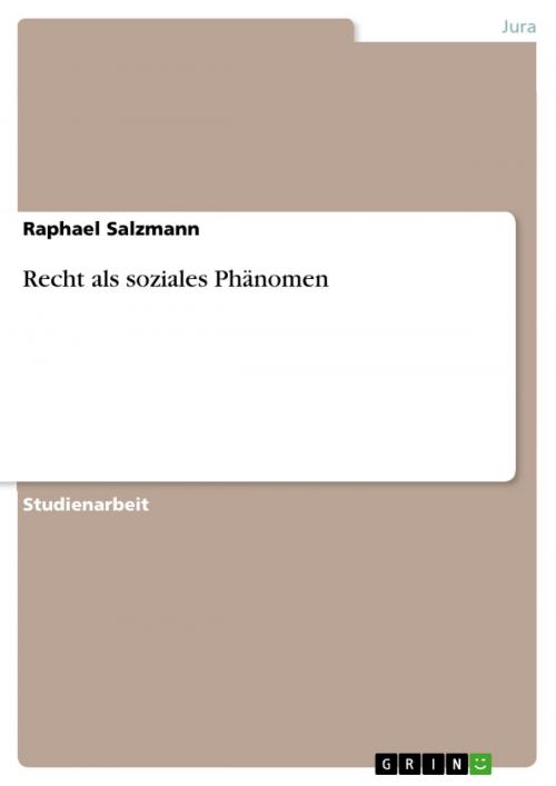 Cover of the book Recht als soziales Phänomen by Raphael Salzmann, GRIN Verlag