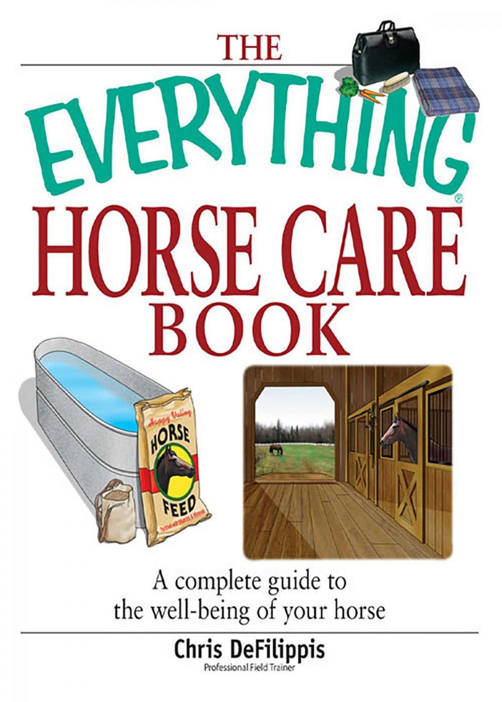 Big bigCover of The Everything Horse Care Book