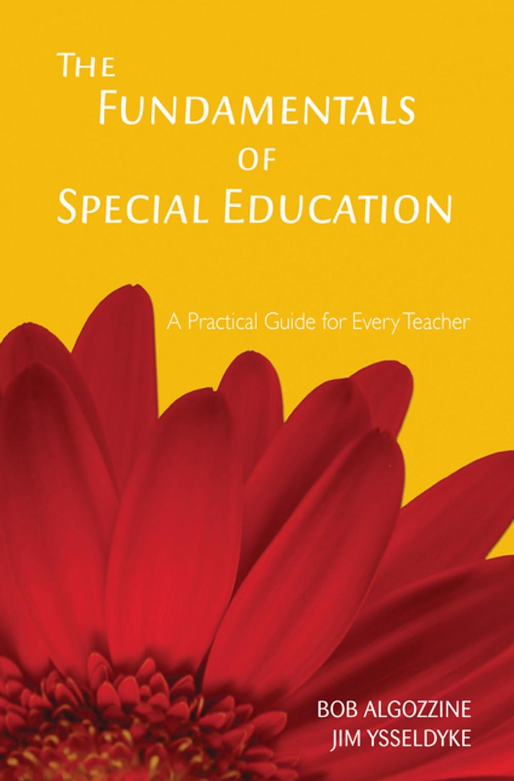 Big bigCover of The Fundamentals of Special Education
