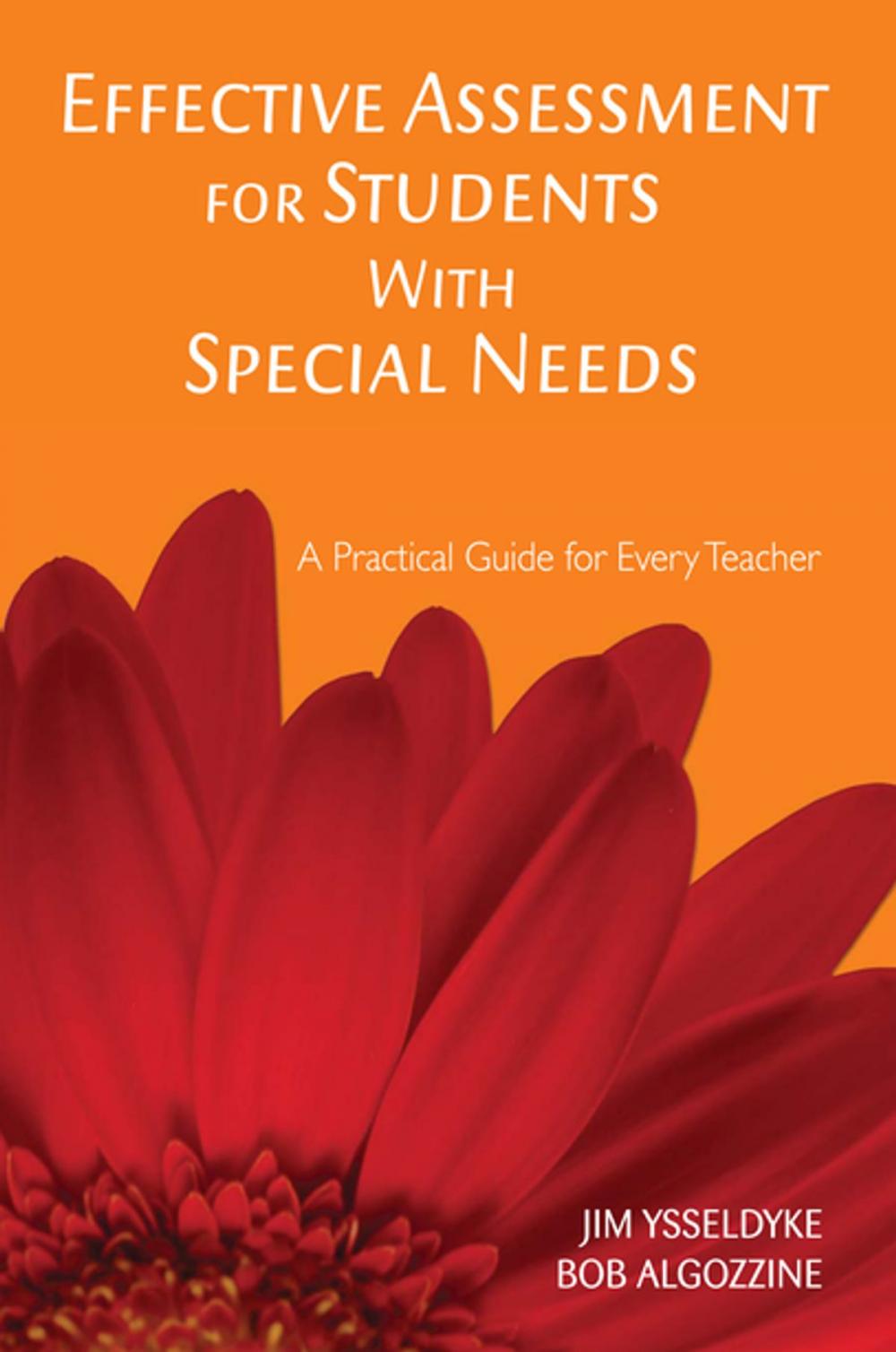 Big bigCover of Effective Assessment for Students With Special Needs