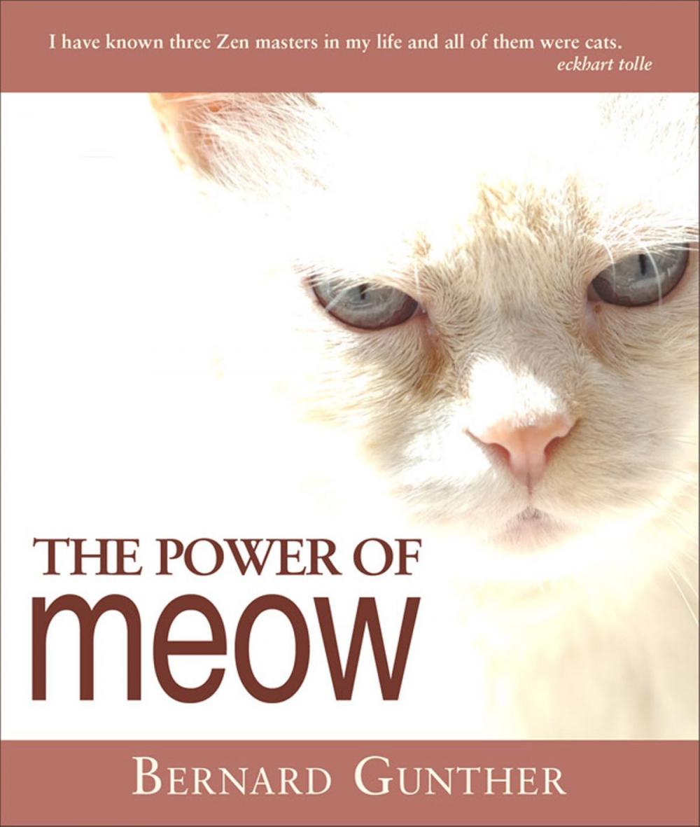 Big bigCover of The Power of Meow