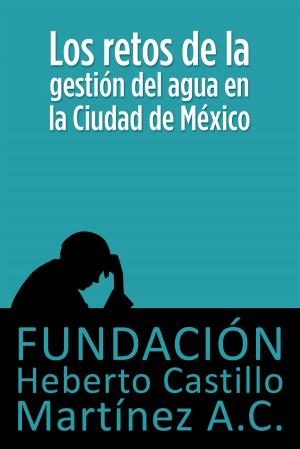 Book cover of Los retos de la gestión del agua en la Ciudad de México