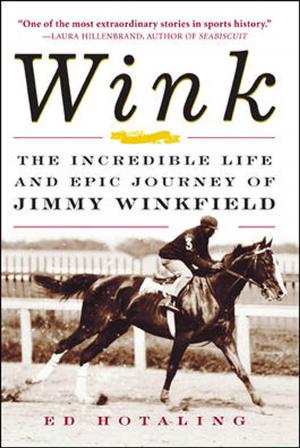 Cover of the book Wink by Wendy Murphy, Kathy Kram