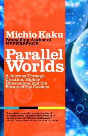 bigCover of the book Parallel Worlds by 