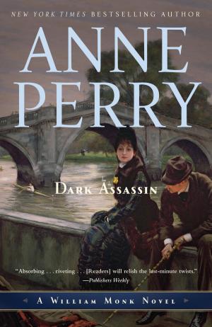 Book cover of Dark Assassin