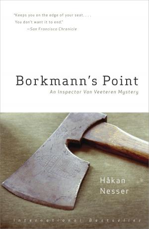 Cover of the book Borkmann's Point by Tobin Rickard