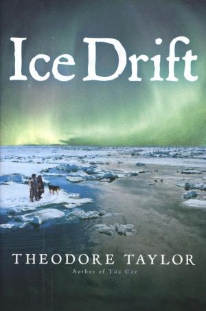 Cover of the book Ice Drift by Kynan Waterford