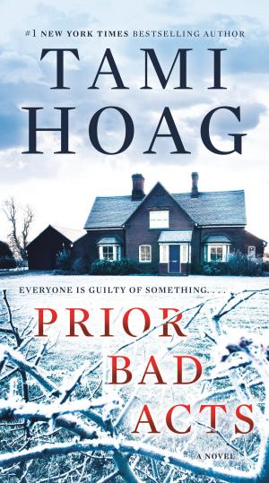 Cover of the book Prior Bad Acts by Johnny Rico