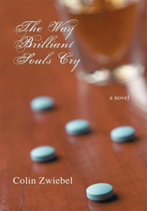 Book cover of The Way Brilliant Souls Cry