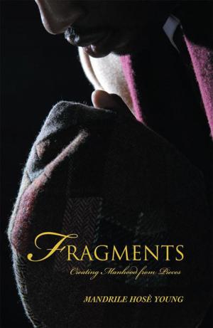 Cover of the book Fragments by Marquis R. Nave