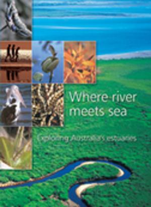 Cover of the book Where River Meets Sea by Rebecca Jones