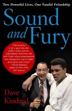 Cover of the book Sound and Fury by Felipe Fernandez-Armesto