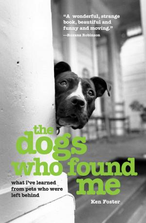 Cover of the book The Dogs Who Found Me by Stanley Stewart