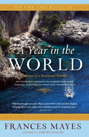 Cover of the book A Year in the World by Pete Planisek