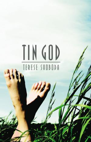 Cover of Tin God