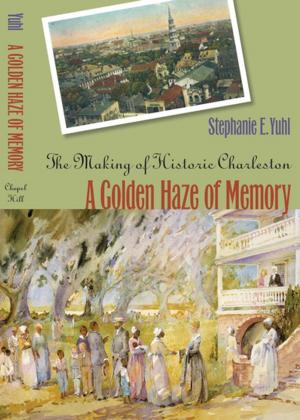 bigCover of the book A Golden Haze of Memory by 