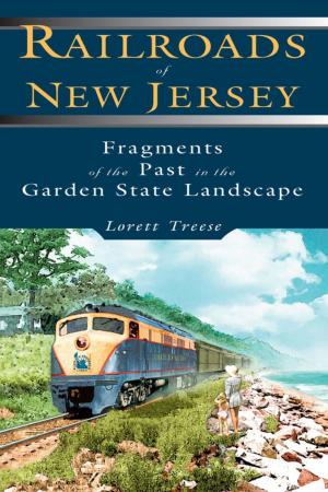 Cover of the book Railroads of New Jersey by Boone Nicolls