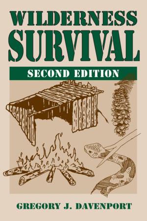 Cover of the book Wilderness Survival by Claudia Hopf