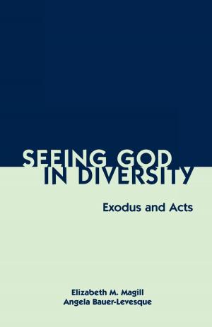 Cover of the book Seeing God in Diversity by Dwight J. Zscheile
