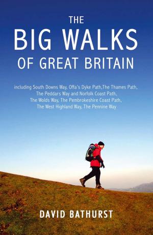 Book cover of The Big Walks of Great Britain