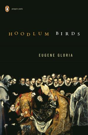 Cover of the book Hoodlum Birds by Ellen Gormley