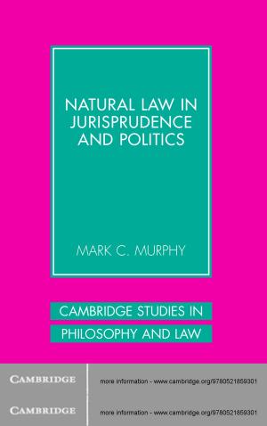 Cover of the book Natural Law in Jurisprudence and Politics by Carsten Q. Schneider, Claudius Wagemann