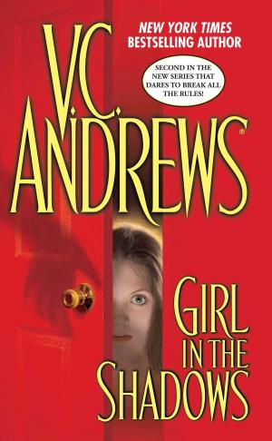 Cover of the book Girl in the Shadows by Amanda Shofner