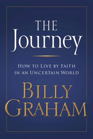 Cover of the book The Journey by Carol Swain
