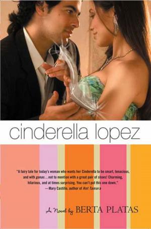 Book cover of Cinderella Lopez
