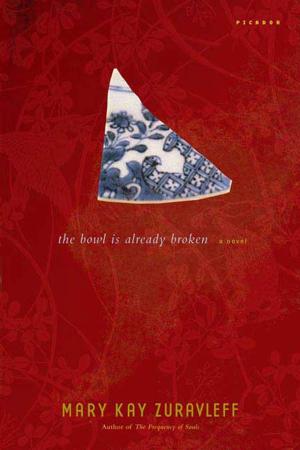 Cover of the book The Bowl Is Already Broken by Louise Doughty