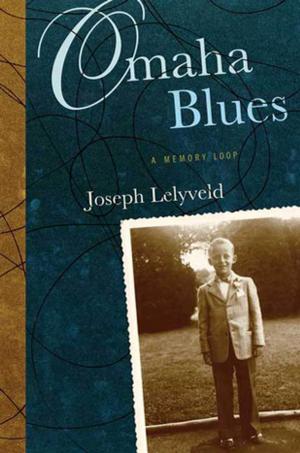 Cover of the book Omaha Blues by Michelle Huneven