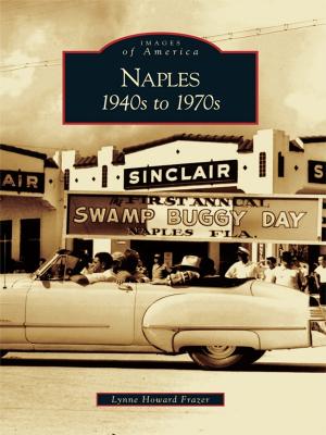 Cover of the book Naples by R. Chad Stewart