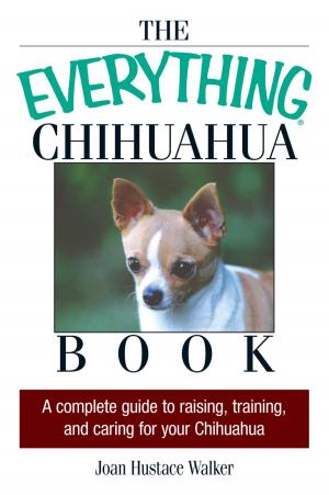 Cover of the book The Everything Chihuahua Book by Sherianna Boyle