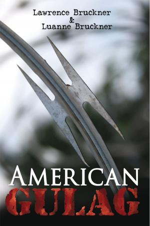 Cover of the book American Gulag by Barbara Varacchi