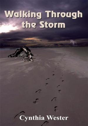 Cover of the book Walking Through the Storm by Brenda Croan