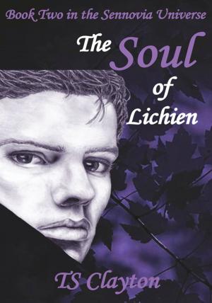 Cover of the book The Soul of Lichien by Amar Mehta