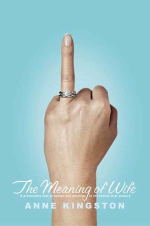 Cover of the book The Meaning of Wife by Åsne Seierstad