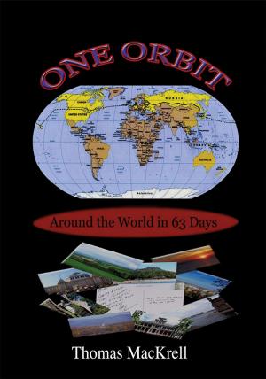 Cover of the book One Orbit by Peggy J. D'Amato