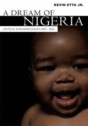 Cover of the book A Dream of Nigeria by Daniel Gatluak Puot Well