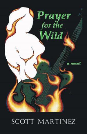 Cover of the book Prayer for the Wild by Robert E. Levinson