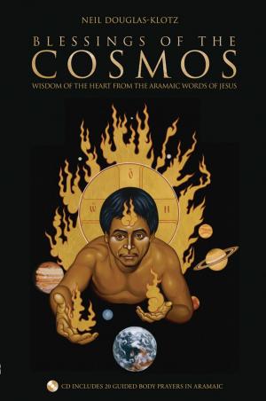 Cover of the book Blessings of the Cosmos by David Grand, PhD
