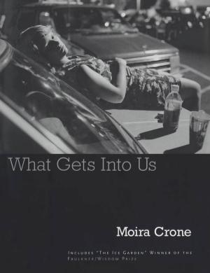 Cover of the book What Gets Into Us by Christopher Murray