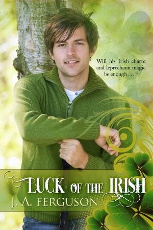 Cover of the book Luck of the Irish by Susan Kearney