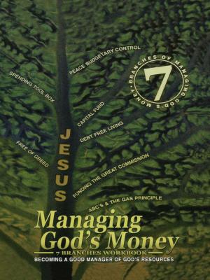 Cover of the book Managing God’s Money: 7 Branches Workbook by Grand Wizard Amelenion