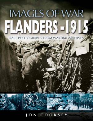 Cover of the book Flanders 1915 by Alan W Cooper