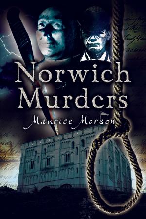 Cover of the book Norwich Murders by Chris  Bond