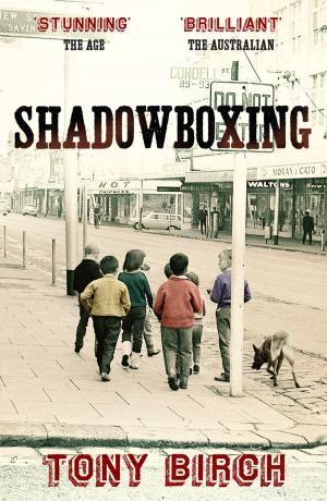 Cover of the book Shadowboxing by Damon Young