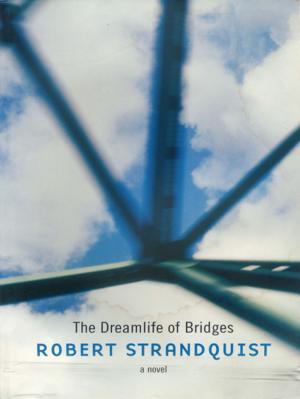 Book cover of The Dreamlife of Bridges