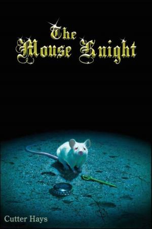 bigCover of the book The Mouse Knight by 